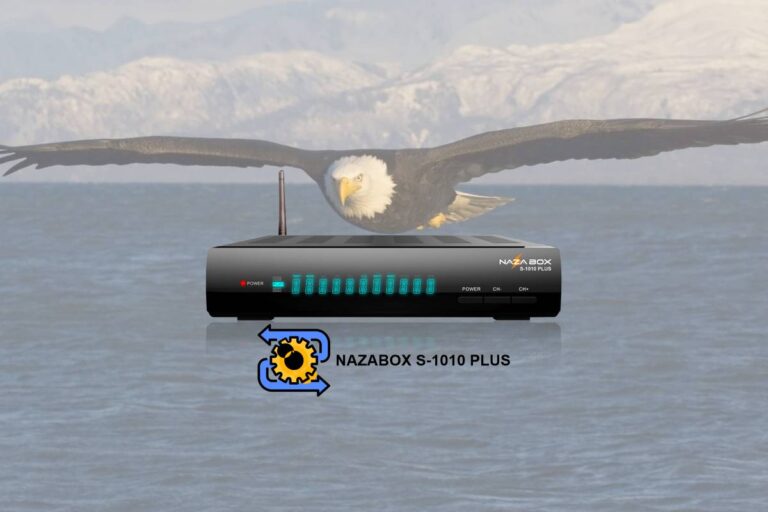 NAZAS1010recovery 768x512 1
