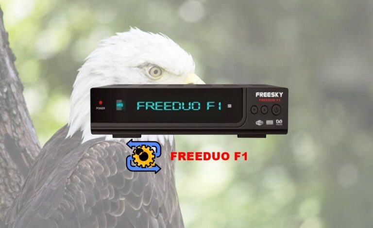 Baixe o Recovery oficial Freesky FreeDuo F1 para restaurar 1 freeduo f1recovery 768x512 1