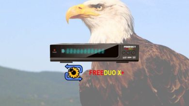 freeduoxrecovery 768x512 1
