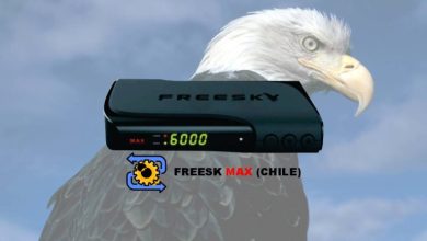 freeskmaxchilerecovery 768x512 1